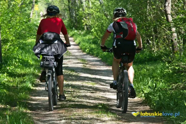 Sport i rekreacja