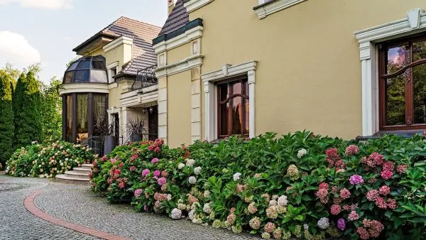 Winnogóra w Ogrodzie: Zielona enklawa z historyczną duszą