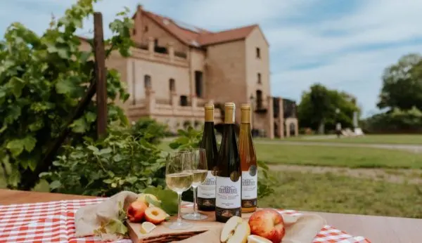 Folwark Pszczew – wino zakorzenione w tradycji i naturze