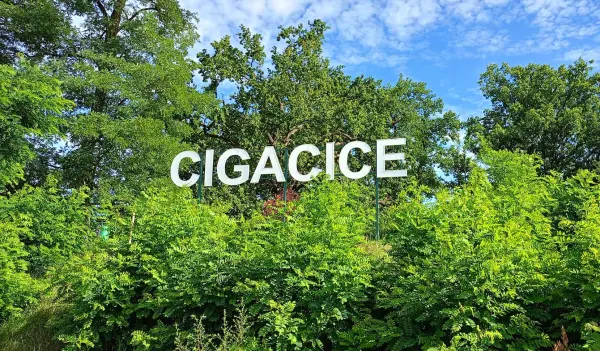 RoweroweLove - Winne Przystanie i Odrzański Spokój: Pętla Zawada – Cigacice